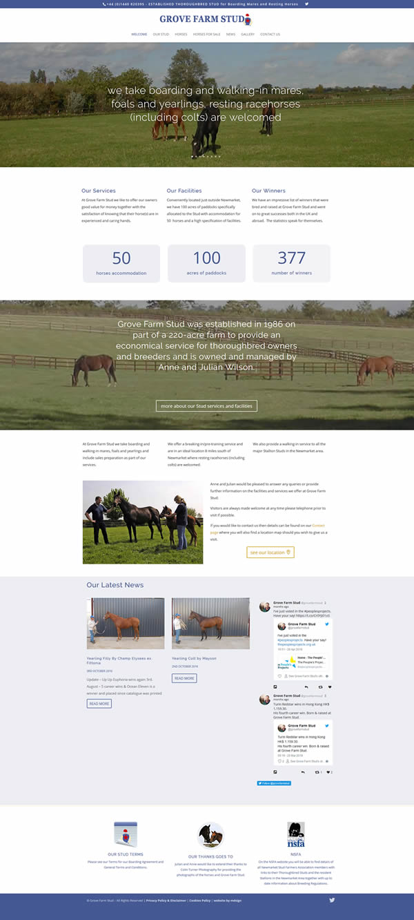 Grove Farm Stud website design by mdsign