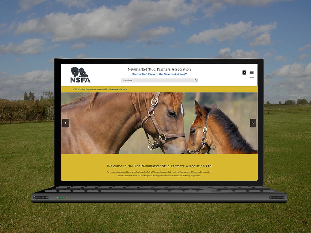 NSFA website by Mdsign