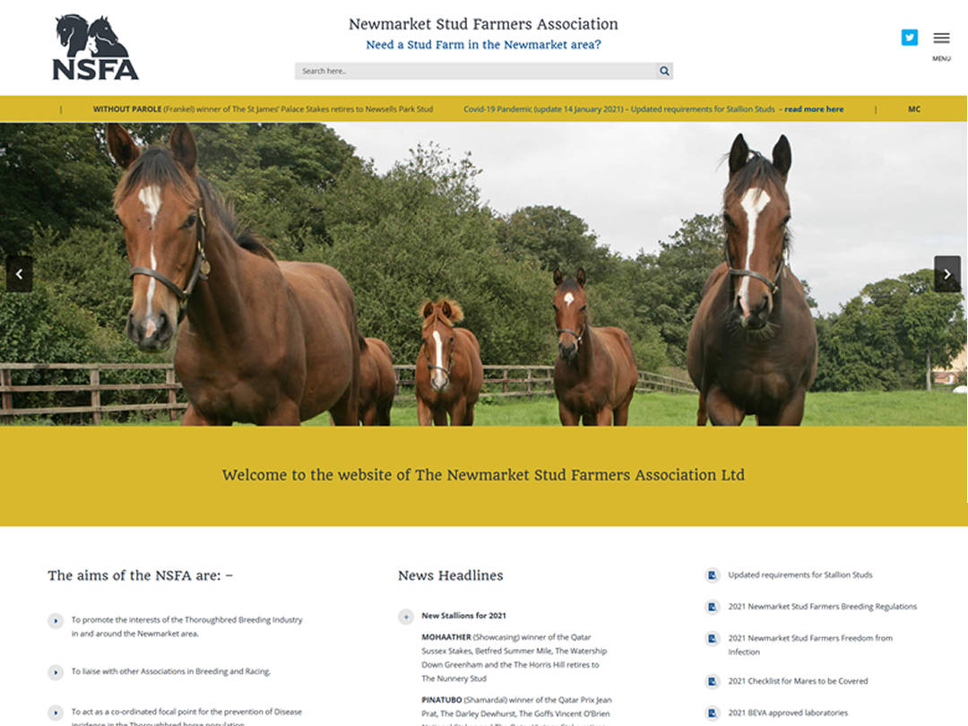 NSFA website by Mdsign
